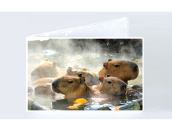 Обложка на зачетную книжку Капибара, Kapibara-san №5