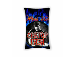 Подушка Сектор Газа, Юрий Хой №57