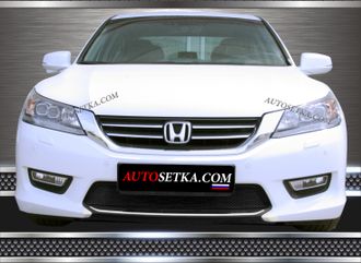 Premium защита радиатора для Honda Accord (2012-)