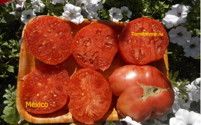 Томат Мехико (Mexico, Мексиканец)