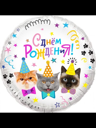 Шар Круг, Котики, С Днем Рождения