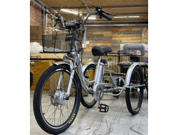 Электровелосипед трехколесный Etoro Turino Disc Pro 350 серебро