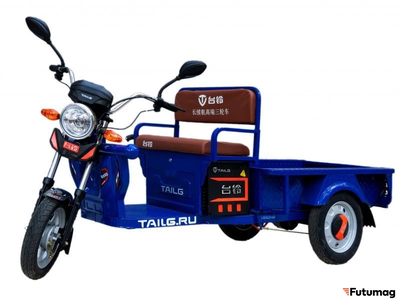 Грузовой электротрицикл TaiLG TL650