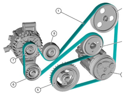 Приводные ремни (генератора, кондиционера) Форд Фокус 3