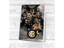 Обложка на паспорт Интер, FC Inter №7