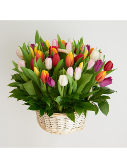 Корзина ярких тюльпанов