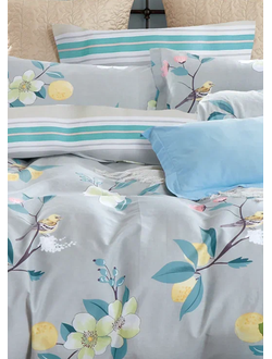 Постельное белье Cleo полутороспальное сатин 150х210х1 160х230х1 70х70х2 15/664-SK