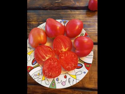 Томат Ребристый Эуганских Холмов (Costoluto Colli Euganei), Италия