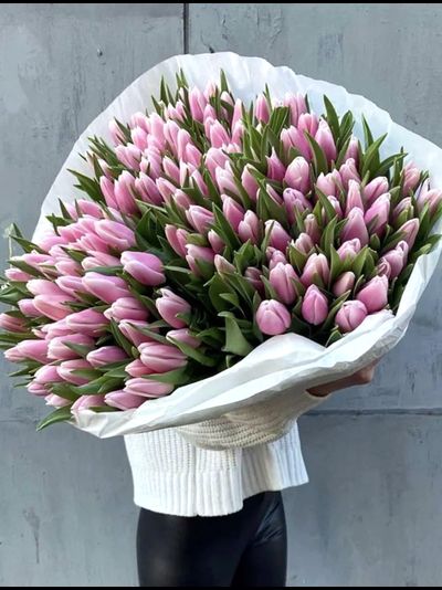 Букет из 151 тюльпана (цвет на выбор)