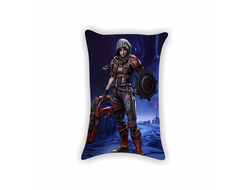 Подушки Borderlands, Бордерленд №38