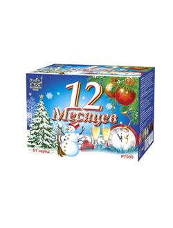P7030 12 Месяцев 51 заряд
