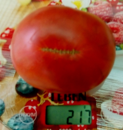 Томат Брендивейн черный  (Brandywine Black)