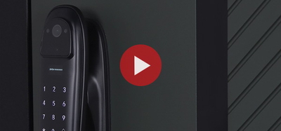 Стальная дверь   Лион (биометрический замок Smart lock DZ 888). Заказная модель.