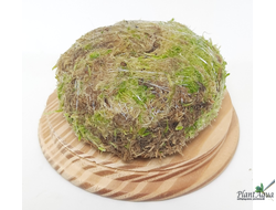 Кочка питательная Ваби-Куса