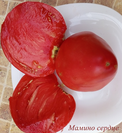 Томат Мамино сердце (Mom’s Heart) Румыния