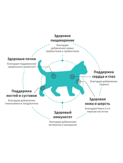 Grandorf Fresh для котят с ягненком и бататом, 400 г