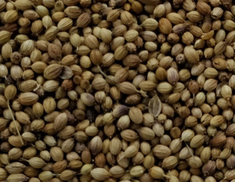 Кориандр (Coriandrum sativum) Иран, семена (5 мл) - 100% натуральное эфирное масло