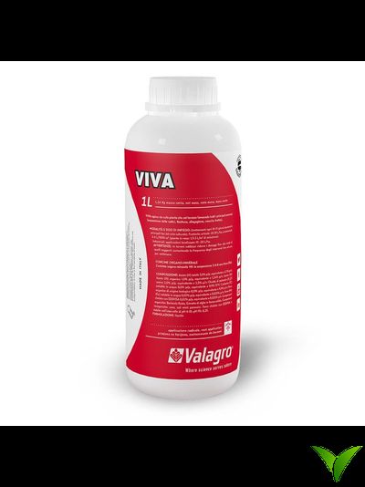 Вива (Viva)