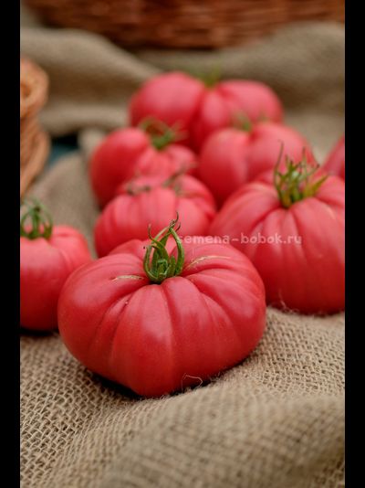 Томат Чалма Агры, 10 шт