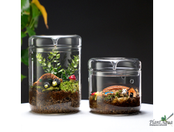 SwetAqua Flor 180 - Емкость для создания флорариума, 180 х 180 мм