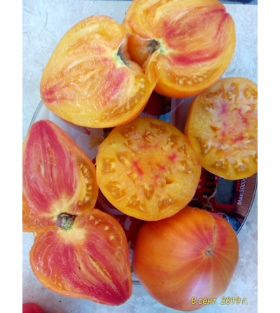 Томат Сердце абрикосовой зебры  (Coeur de Zebre apricot, Heart of Zebre Apricot)