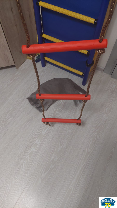 Пластиковая лестница веревочная 6 ступеней