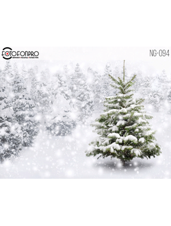 Фотофон виниловый «Снежный день»