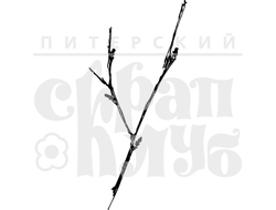 Штампы для скрапбукинга - Природа, растения