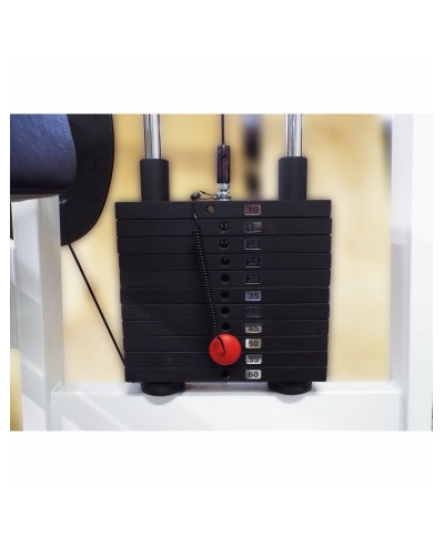 Бицепс-трицепс машина 2 в 1 60 кг AV248/80