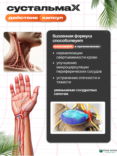 Сустальмакс: нейронные связи и здоровье вен