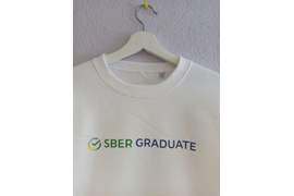 Свитшот, DTF-печать