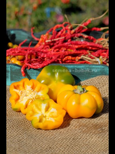 Сладкий перец Тыковка, 10 шт