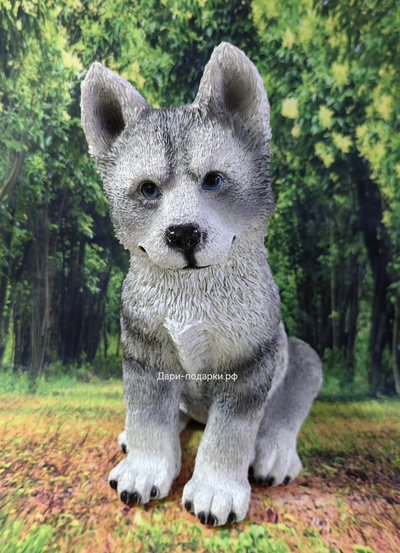 Хаски - садовая фигура 37*30*20см  1,7кг   экологичный полистоун Россия  2798/012979 Не боится влаги и перепадов температур