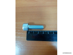 Болт М10*1,5*30 под внутренний шестигранник (цена за 20 шт.)