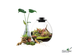 Биобутылка Biolark LED PD 210 (215мм х 240мм)