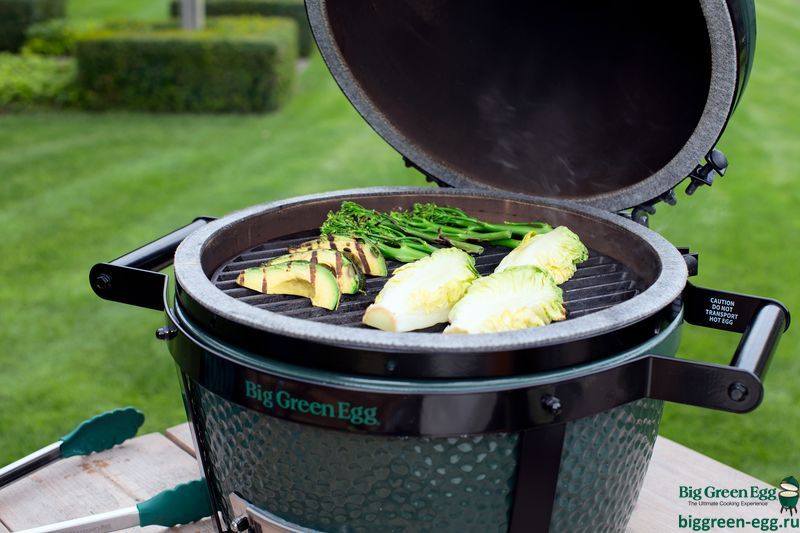 Green egg mini max top