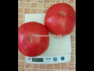 Томат Микадо розовый