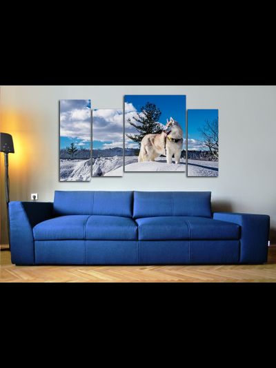 Модульная картина "Снежная лайка"