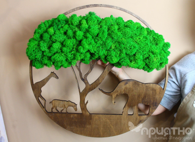 ЖИВАЯ ЭКО-КАРТИНА 1009