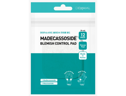 Dermal Madecassoside Blemish Control Pad / Dermal Корректирующие пэды с экстрактом мадекассосида (12 шт * 23 мл)