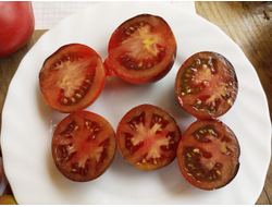 Томат Гондвана Гром (Dwarf Gondwana Thunder)