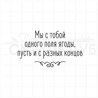 Мы с тобой одного поля ягоды, пусть и с разных концов