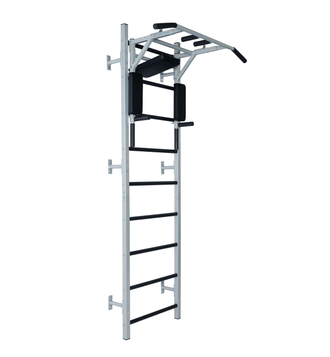 Навесной турник-брусья-пресс (3 в 1) ДТ