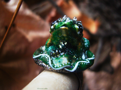 Коллекционный перстень "Леди Квакша Invidia"