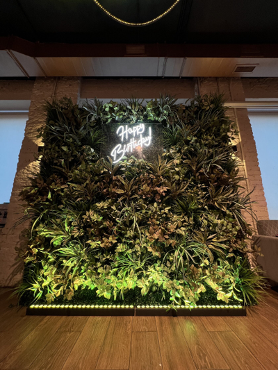 ФитоСтена на день рождения № 1488