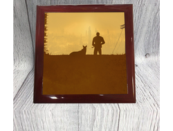 Шкатулка Fallout, Фоллаут №5