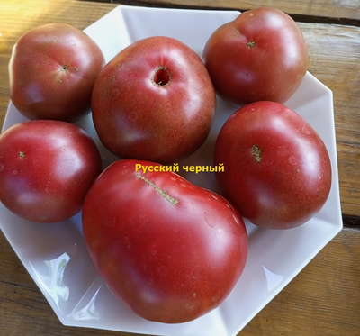 Томат Русский черный (Russian black)