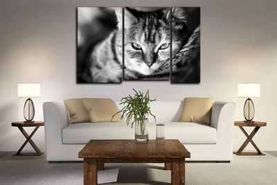 Модульная картина "Кошачье блаженство"