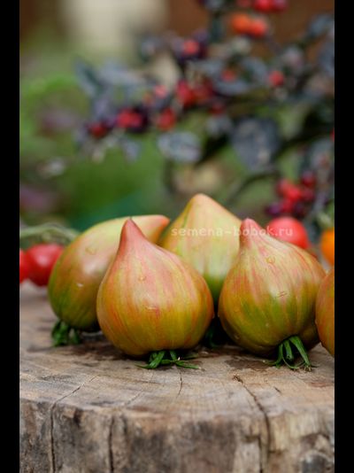 Томат Волшебная Радуга, 10 шт