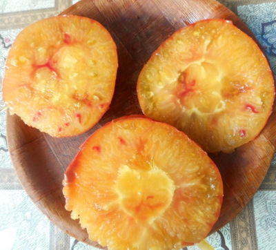 Томат Хейзел мей (Hazel mae)